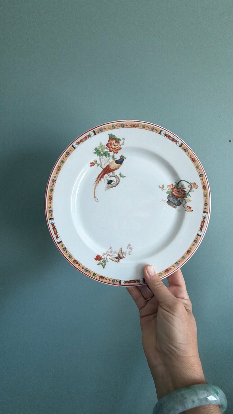 119 Syracuse china Burmese pattern